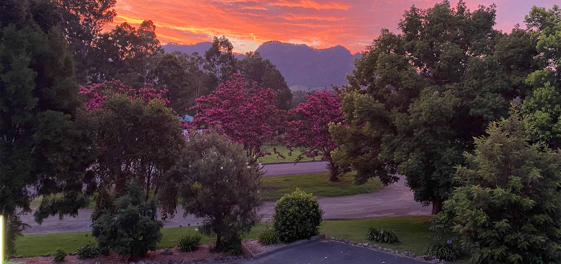 Bucketts Way Motel